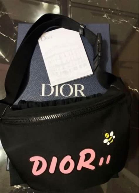 dior kaws bag